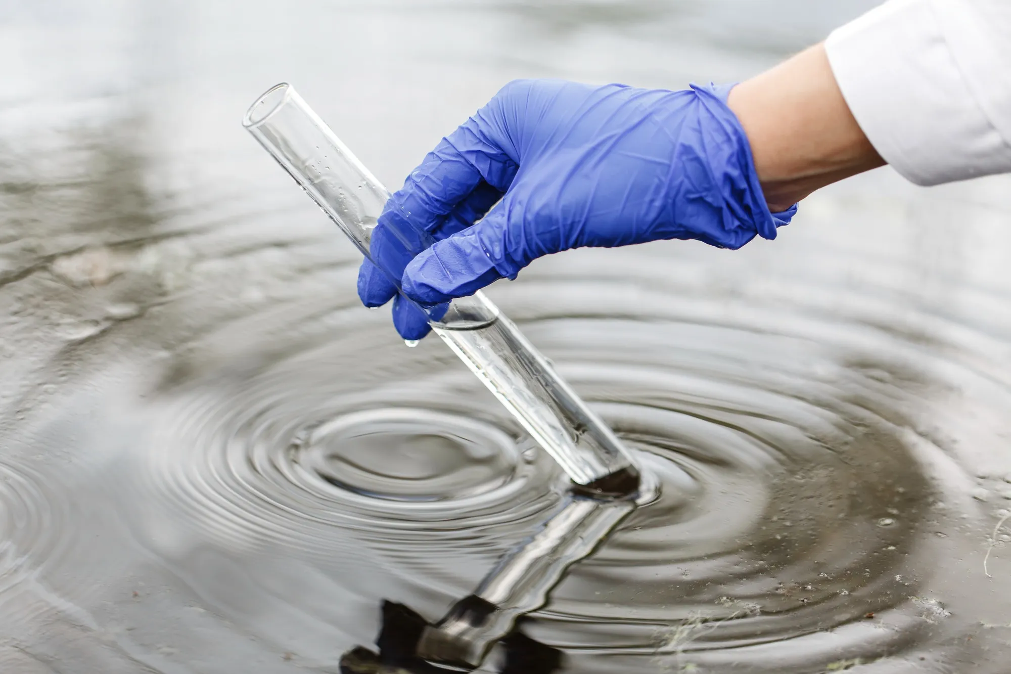 Sibica, líder en restaurar la calidad del agua.